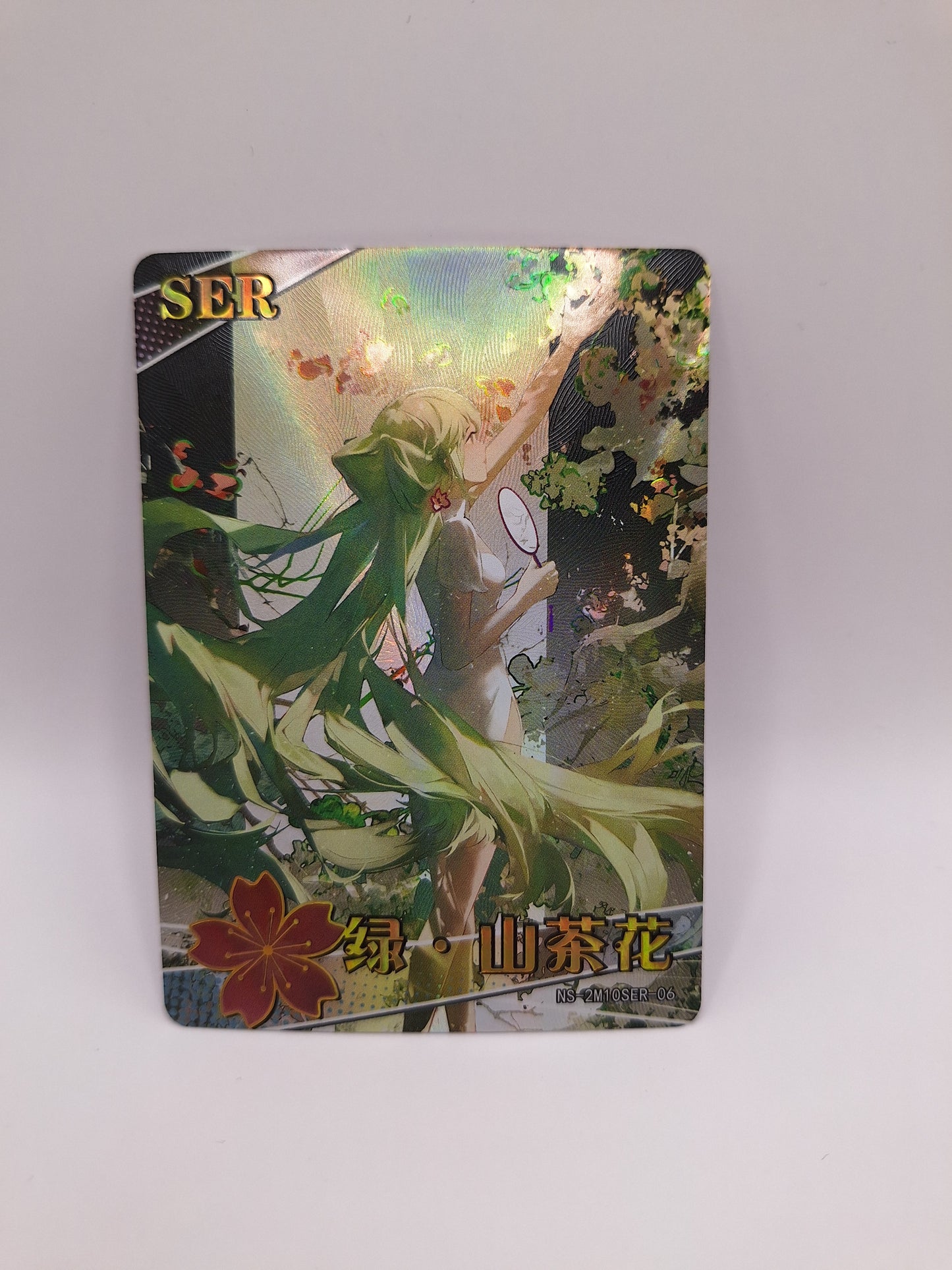 SER - NS-2M10SER-06