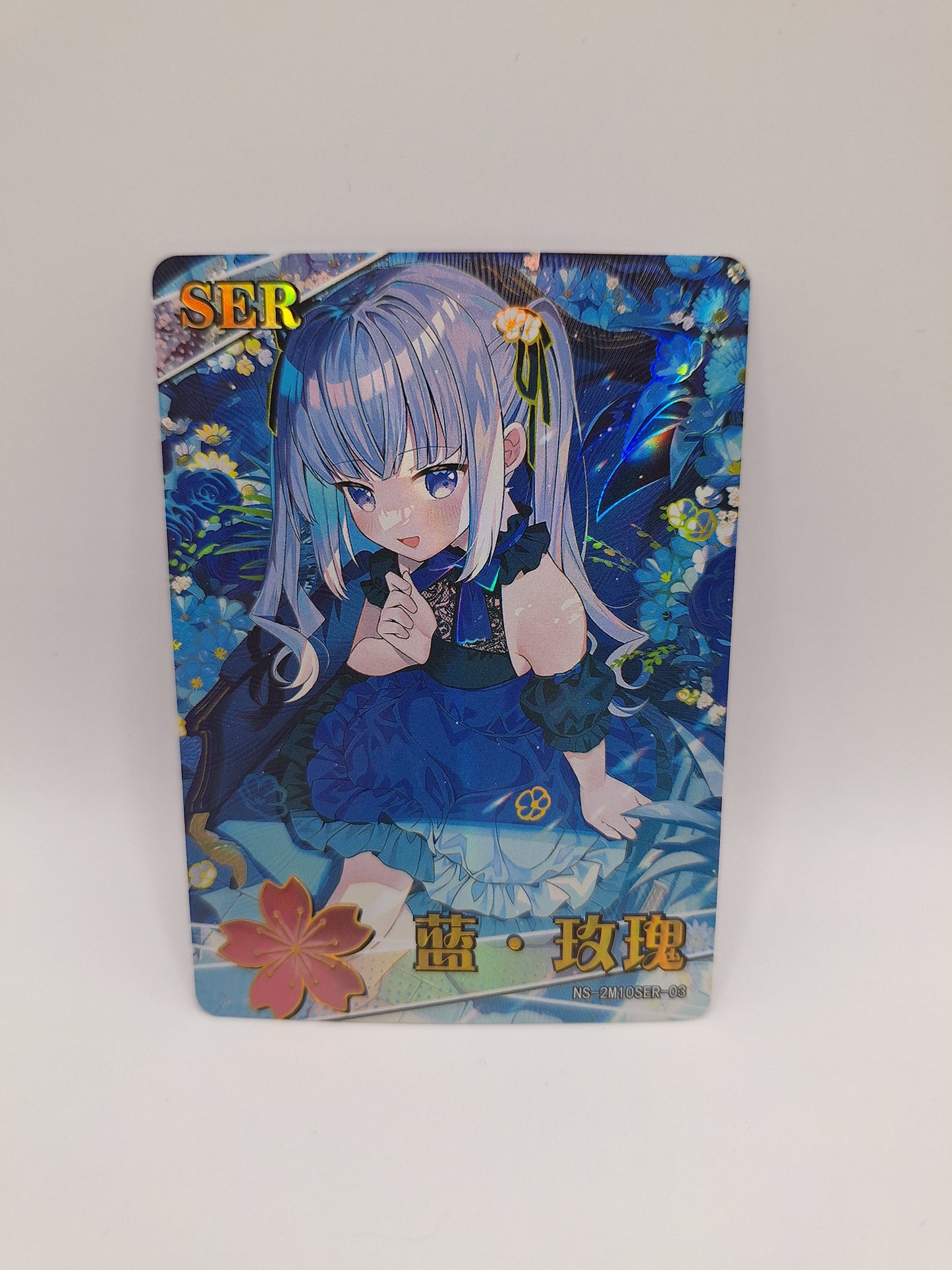 SER - NS-2M10SER-03
