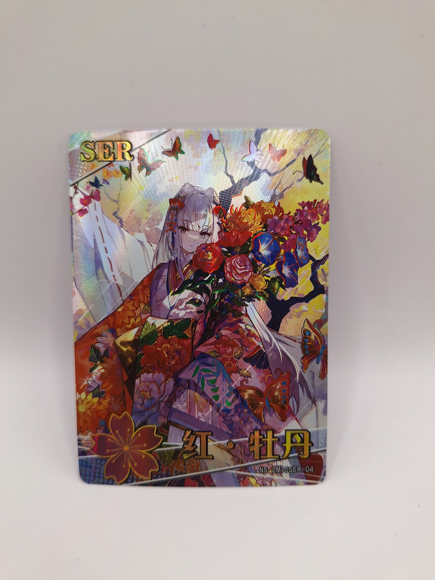 SER - NS-2M10SER-04