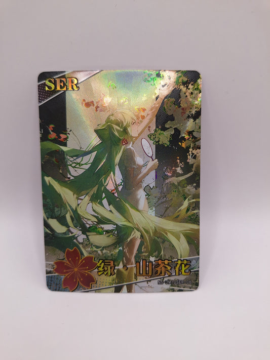 SER - NS-2M10SER-06