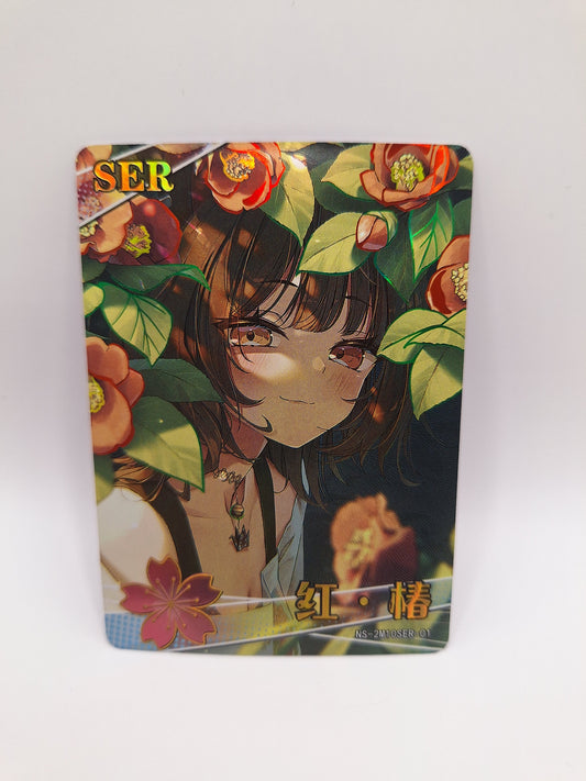 SER - NS-2M10SER-01